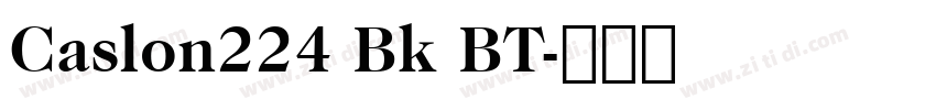 Caslon224 Bk BT字体转换